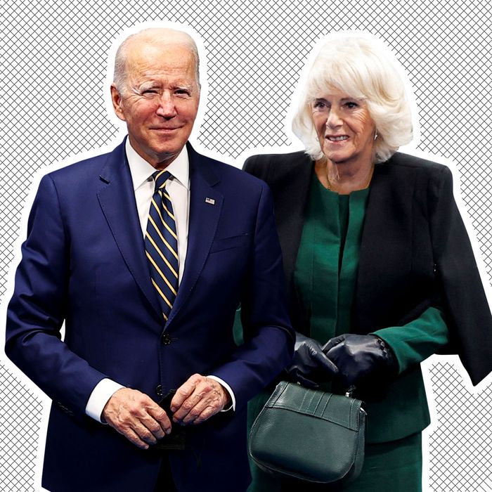 Biden camilla video