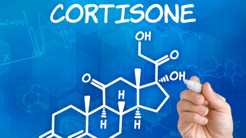 Effetti del cortisone sul cervello