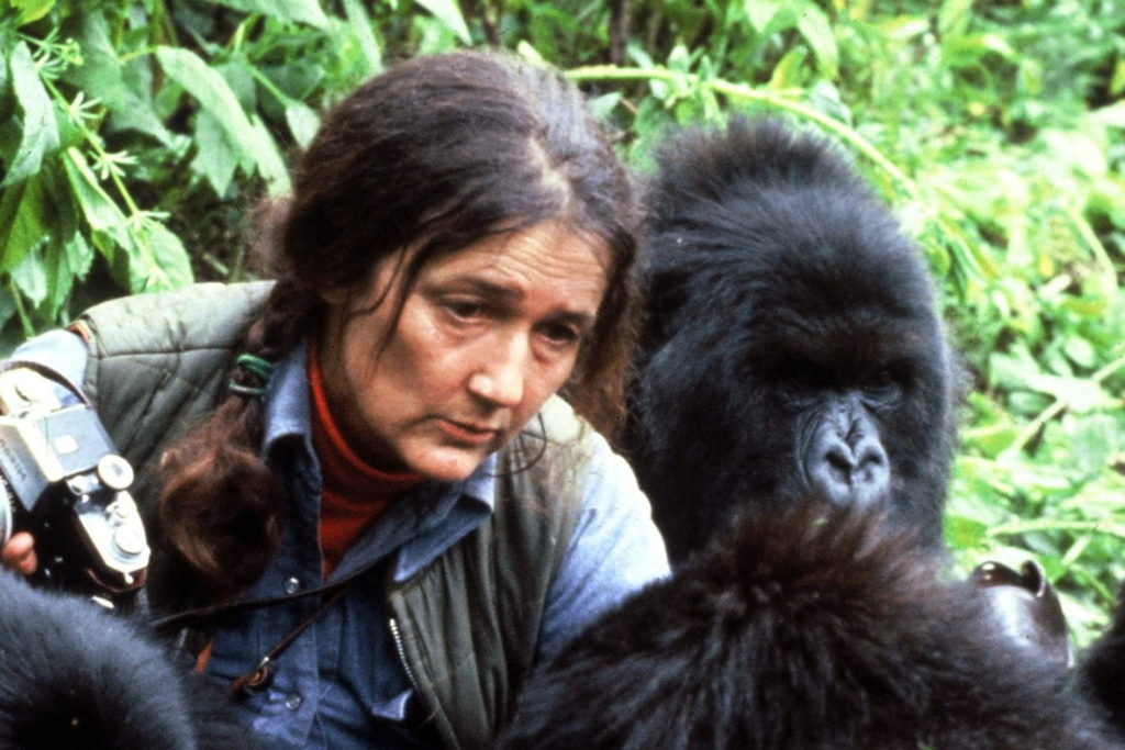 Dian fossey morte