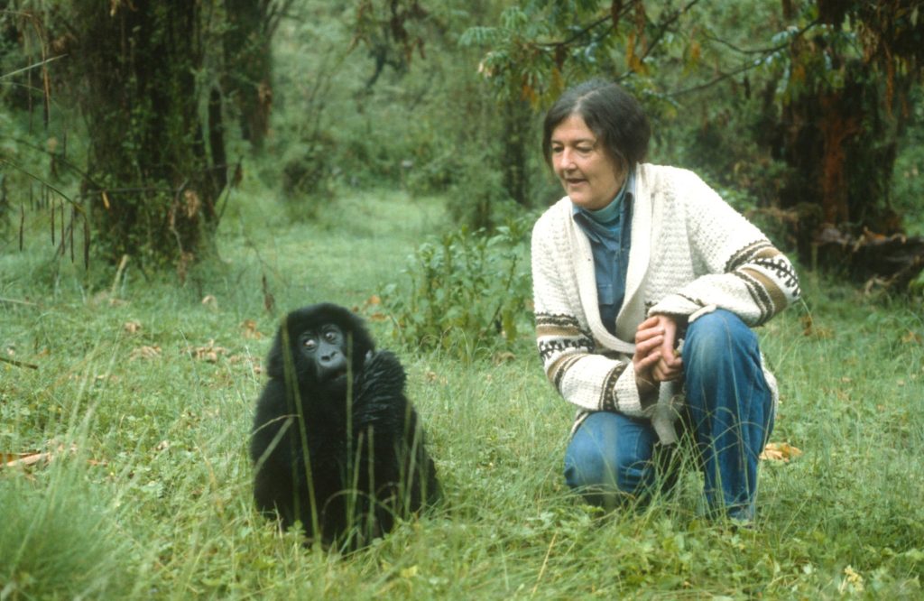 Dian fossey morte