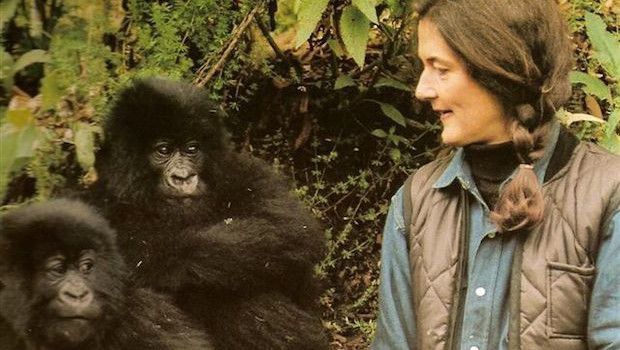 Dian fossey morte