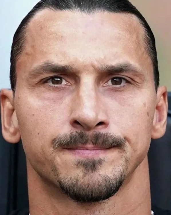 I genitori di ibrahimovic