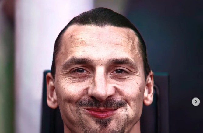 Zlatan Ibrahimović Fratelli