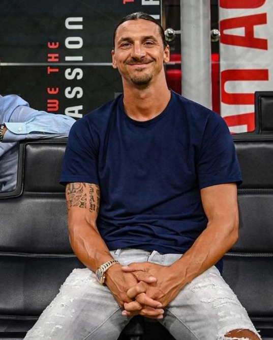 Zlatan Ibrahimović Fratelli