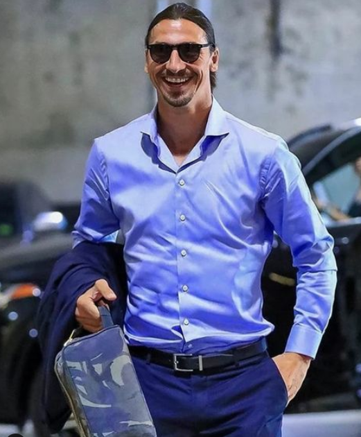 Zlatan Ibrahimović Fratelli