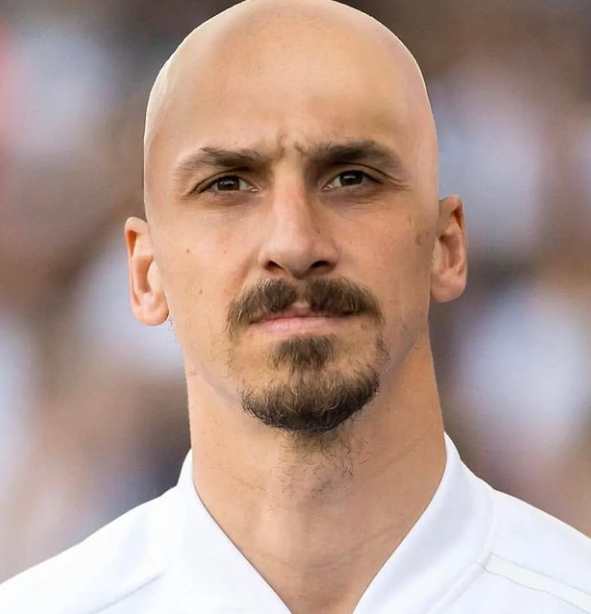 Moglie Zlatan Ibrahimovic